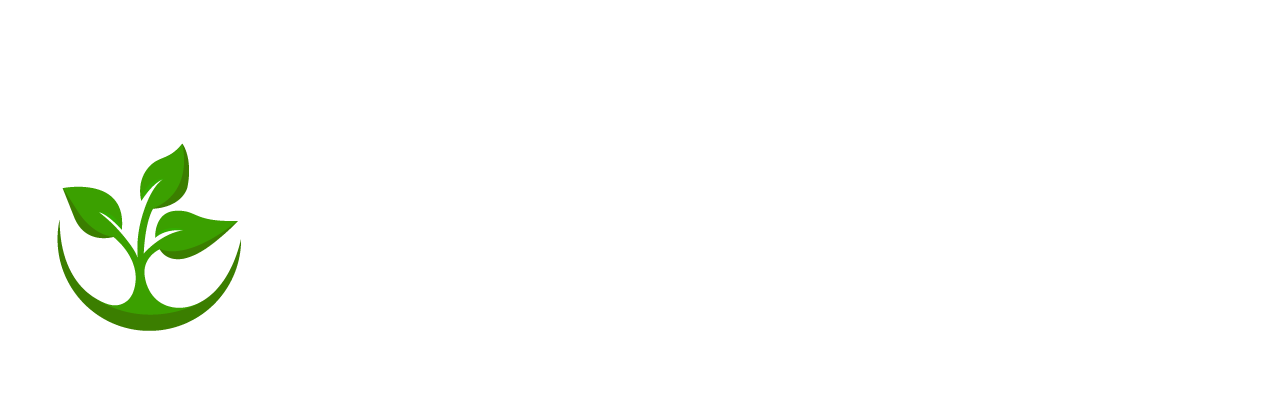 Generation Alpha